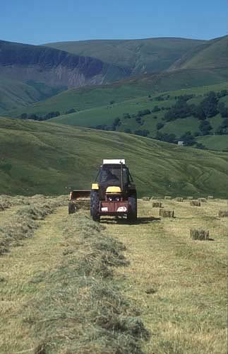 Farm Images